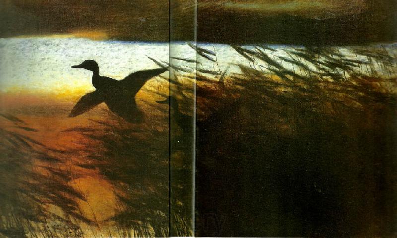 bruno liljefors sommarnatt, lyftande ander Germany oil painting art